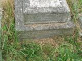 image of grave number 737411